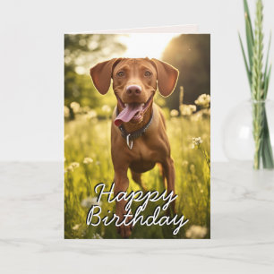 Custom Vizsla Birthday Card
