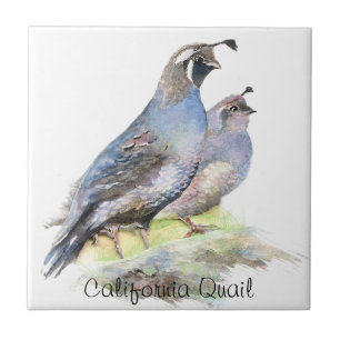 Custom Watercolor California Quail birds Tile