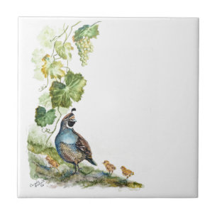 Custom Watercolor California Quail Family Grapes Tile