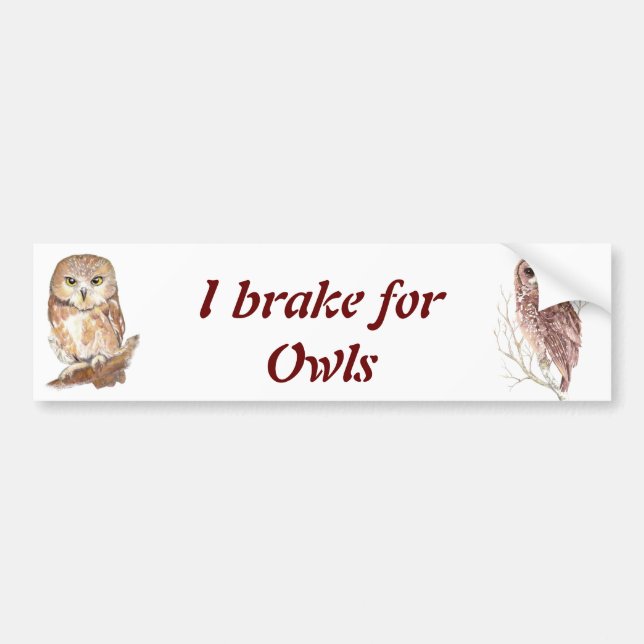 Custom Watercolor Owl, Bird, Nature, Wildlife Bumper Sticker (Front)
