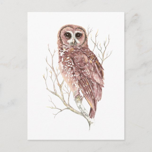 Custom Watercolor Owl, Bird, Nature, Wildlife Postcard (Front)
