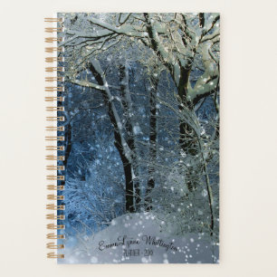 Custom Weekly, Monthly Snowy Winter Sun Sparkle Planner