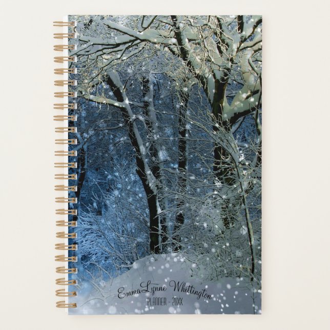 Custom Weekly, Monthly Snowy Winter Sun Sparkle Planner (Front)