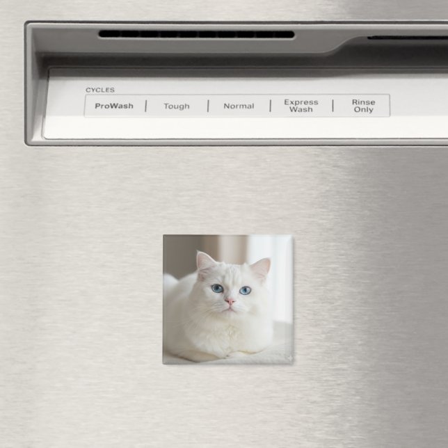 Custom white cat photo magnet for fridge (In Situ (Dishwasher))