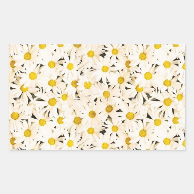 Custom White Daisies Blank Elegant Template Sticker (Front)