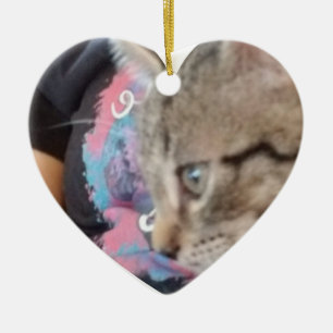 Custom Who Rescued Who Pet Name Ceramic Ornament