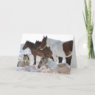 CUSTOM WILD HORSES OF UTAH PINTOS IN SNOW  Card