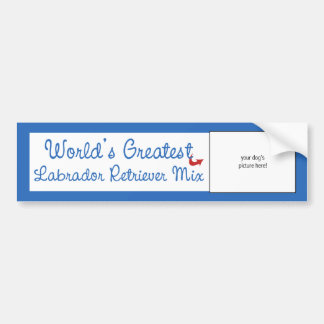 Custom Worlds Greatest Labrador Retriever Mix Bumper Sticker