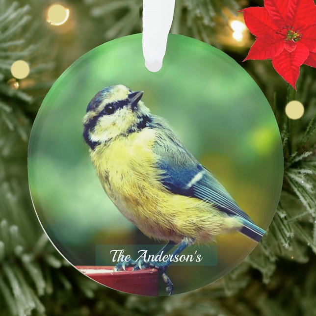 Custom Yellow=breasted Bird Photo Personalized Ornament (Creator Uploaded)