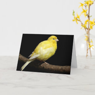Custom Yellow Canary Card