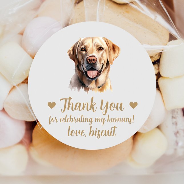 Custom Yellow Lab Dog Wedding Favour Stickers (Creator Uploaded)