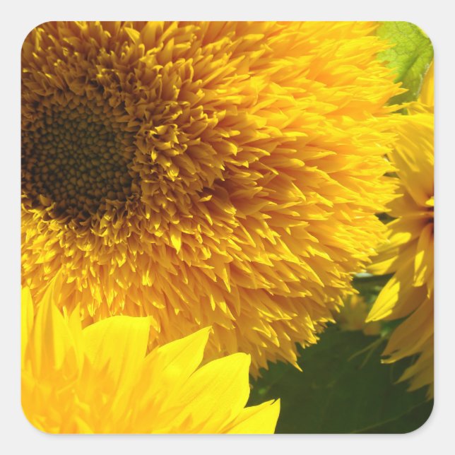 Custom Yellow Sunflower stickers Add Your Text (Front)