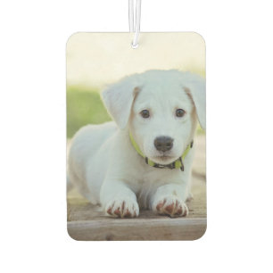 Custom Your Pet Photo Car Air Freshener