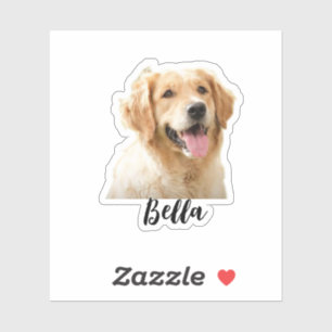 Custom your pet's photo with name