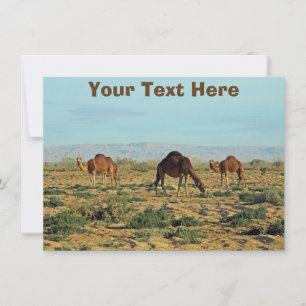 Customisable camels card
