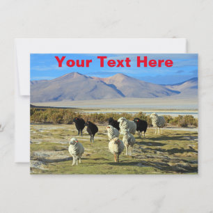 Customisable Chilean sheep Card
