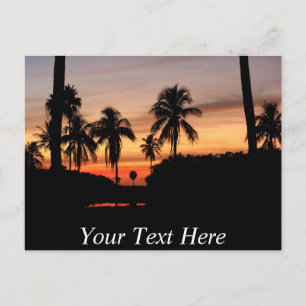 Customisable Florida sunset Postcard