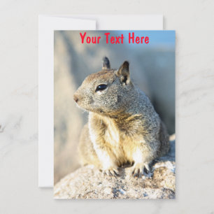 Customisable grey squirrel Monterey Bay California Card