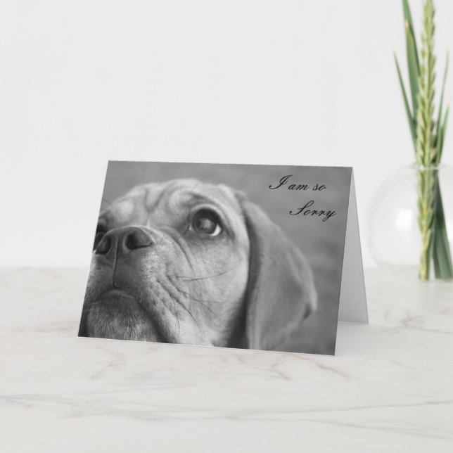 Customisable Im Sorry Cute Puppy Greeting card (Front)