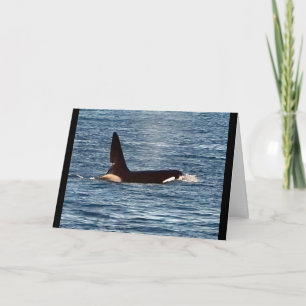 Customisable John Coe Killer Whale West Coast Orca Card