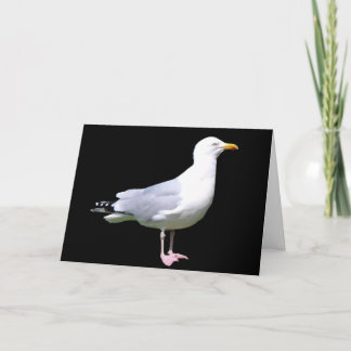 Customisable Seagull Standing Greetings Card