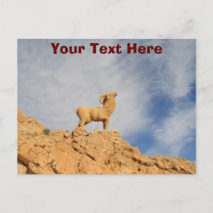 Customisable Tunisia goat statue postcard