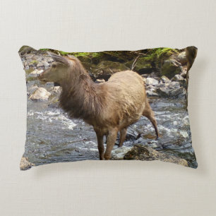 Customisable Young Red Deer Stag Crossing a Burn Accent Pillow