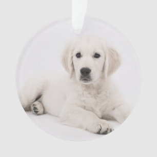 customisé avec la photo de animal de compagnie mém