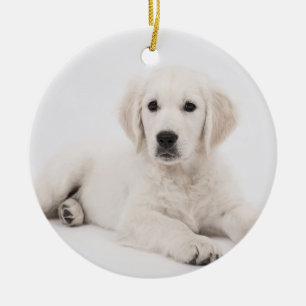 customised with photo pet memorial ceramic ornament