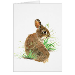 Customisez ce lapin curieux, animal d'aquarelle