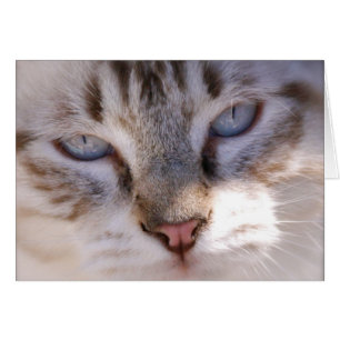 Customisez votre propre carte d'animal familier