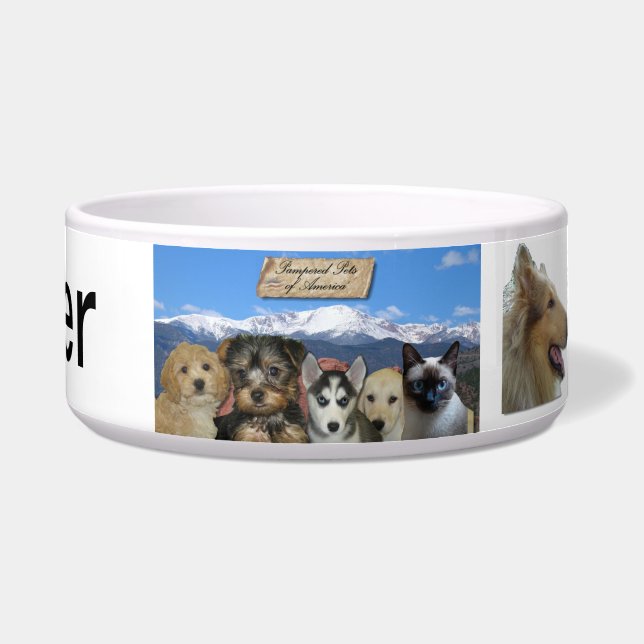 Customizable (Front)