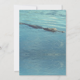 Customizable Alligator in Water Wildlife Photo  Holiday Card