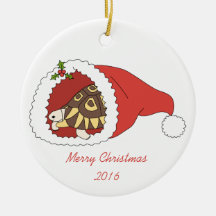 Customizable Angulate Tortoise Ornament