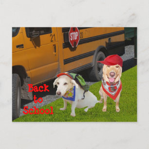 Customizable Back to School Postcard