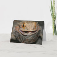 Customizable Bearded Dragon