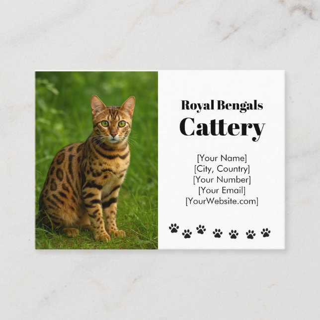 Customizable Bengal Cattery Business Card  (Front)