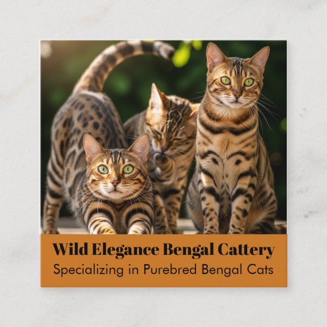 Customizable Bengal Cattery Business Card  (Front)