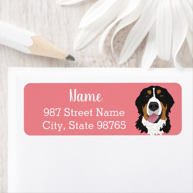 Customizable Bernese Mountain Dog (Insitu)