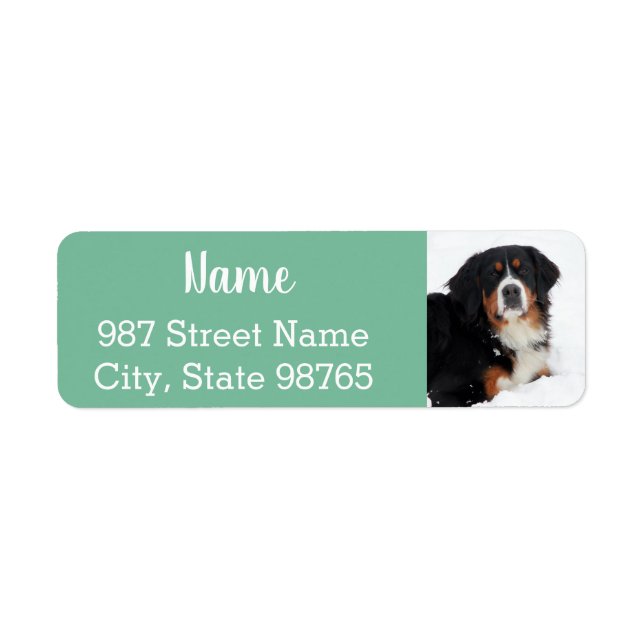 Customizable Bernese Mountain Dog (Front)