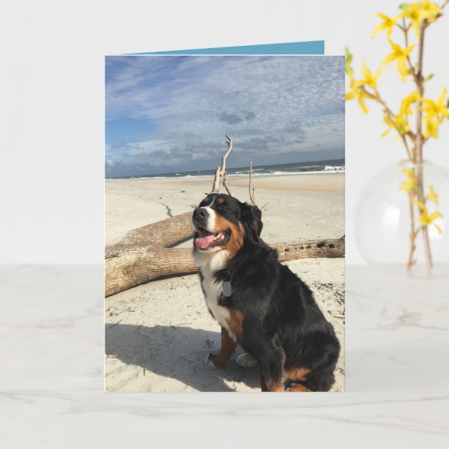 Customizable Bernese Mountain Dog Card (Yellow Flower)