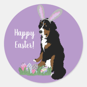Customizable Bernese Mountain Dog  Easter Classic Round Sticker