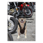 Customizable Biker Lab