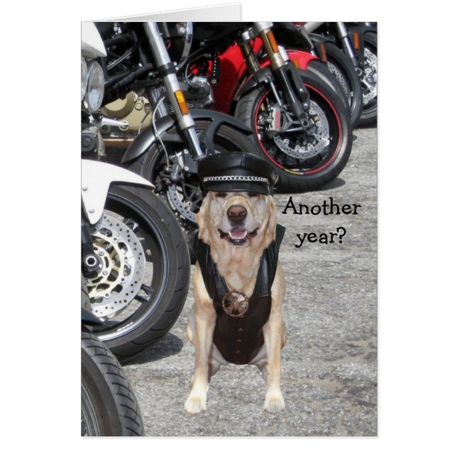 Customizable Biker Lab (Front)