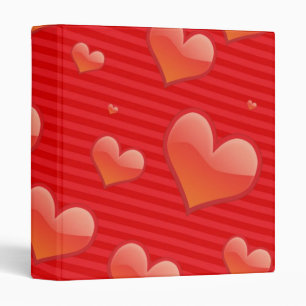 CUSTOMIZABLE BINDERS