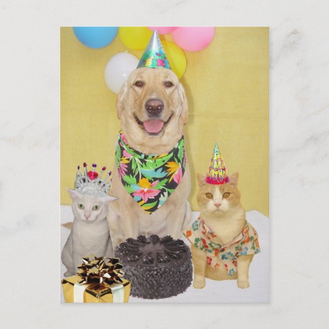 Customizable Birthday Greeting or Invitation (Front)
