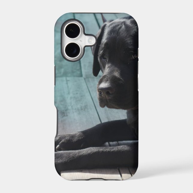 Customizable Black Labrador Retriever (Back)