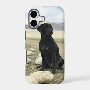 Customizable Black Labrador Retriever