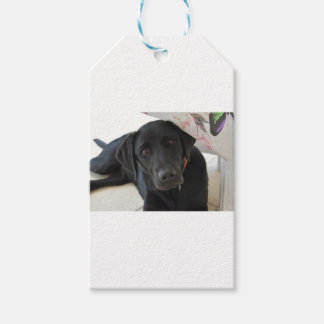 Customizable Black Labrador Retriever Gift Tags
