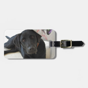 Customizable Black Labrador Retriever Luggage Tag